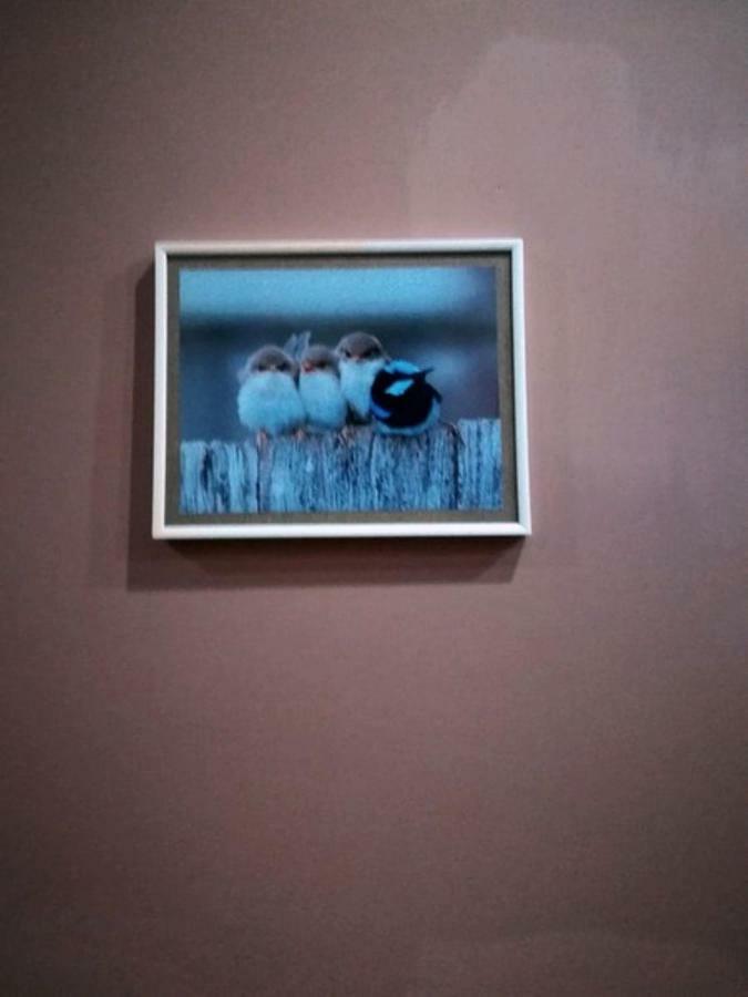 Birdhome In Tiflis Exterior foto